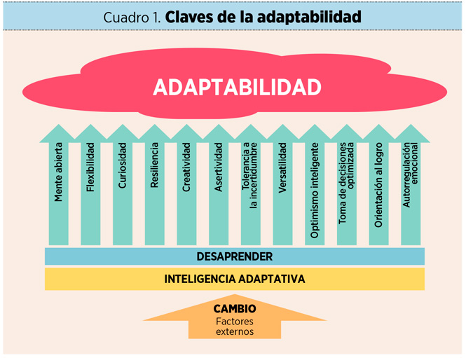 claves adaptabilidad