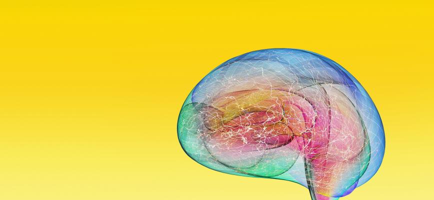 Neurociencia aplicada a la eficacia publicitaria: ¿aliadas perfectas?