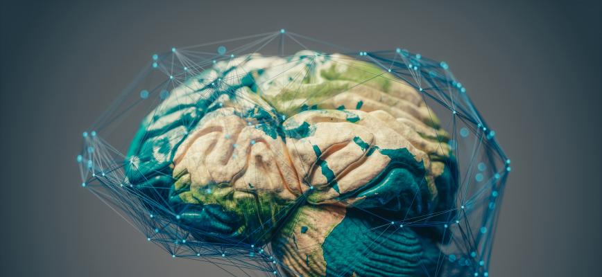 Los ecosistemas empresariales innovadores
