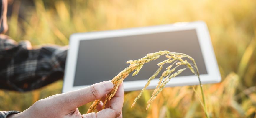 Los ingredientes de la innovación