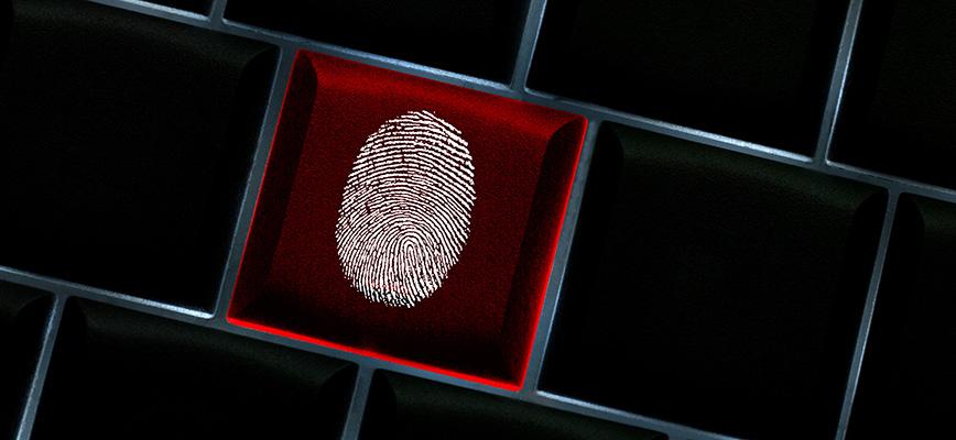 Ciberseguridad, una megatendencia en alza