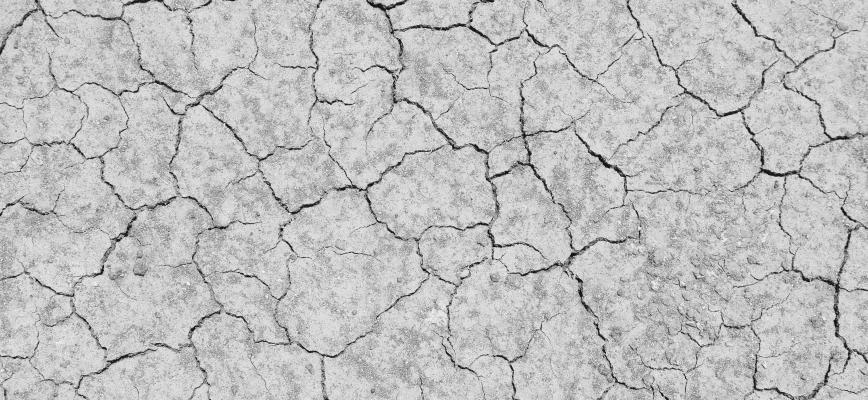 ¿La tecnología está erosionando la lealtad del consumidor?