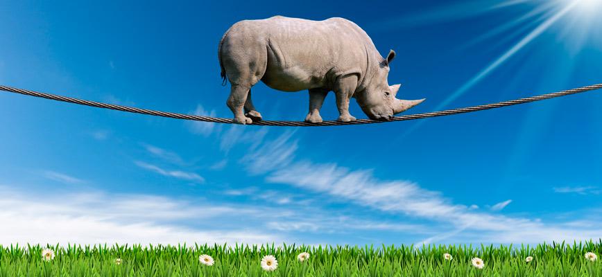 Más allá del propósito: verdades incómodas que trascienden el emprendimiento social