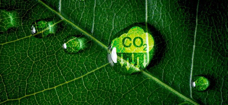 La sostenibilidad no cabe en una etiqueta “eco”