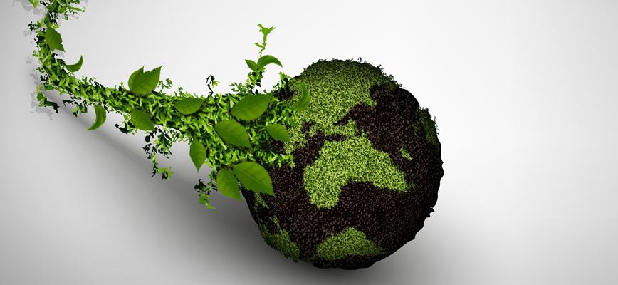La red ecoSOStenista: ‘ikigai’, metas y propósito empresarial