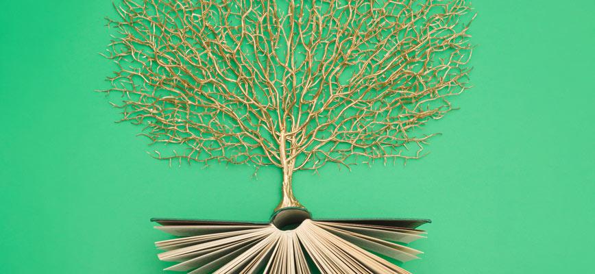 Punto de Vista: Patricia Acedo, People & Culture Director en Northius