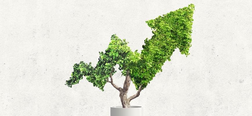 Las bases de un crecimiento sostenible