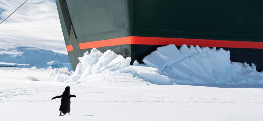 Cuando el talento no basta: lecciones de la épica conquista del Polo Sur