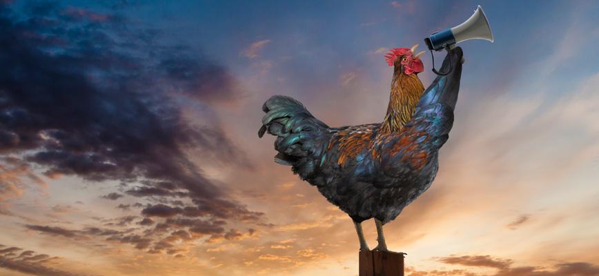 Comunicación consciente: las bases de una reputación sólida