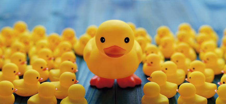 Pequeña en estructura, grande en capacidades