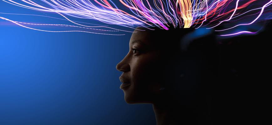 EL APRENDIZAJE AUTOMÁTICO Y EL MERCADO DE LA INTELIGENCIA