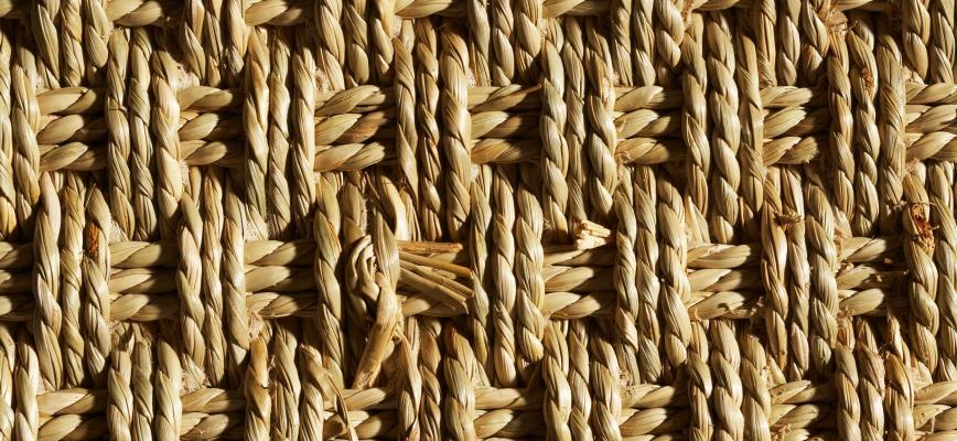Innovación sostenible: nuevo espacio de márketing y competitividad