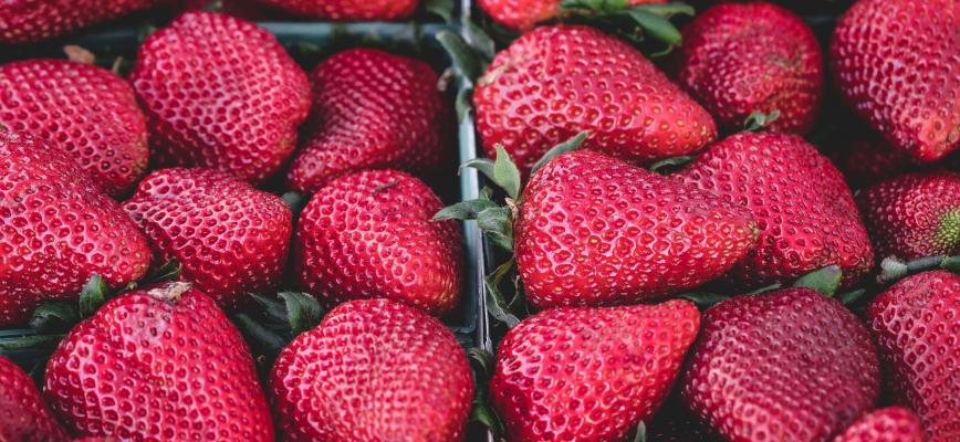 Mercados digitales. Comercio electrónico no es sólo "tienda en Internet"