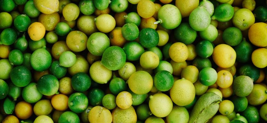 Cómo alimentar la pasión por el trabajo