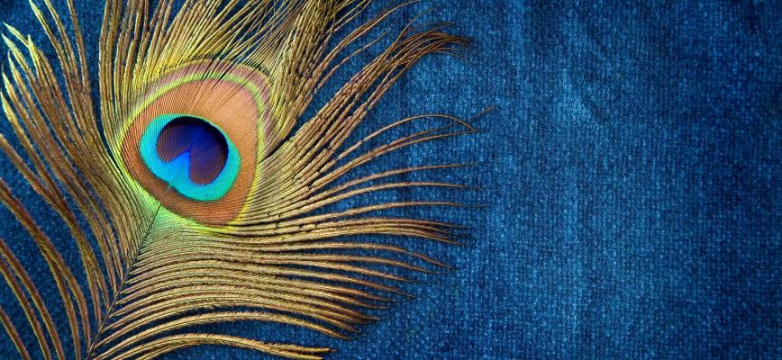Prosperar en un ecosistema cada vez más digital