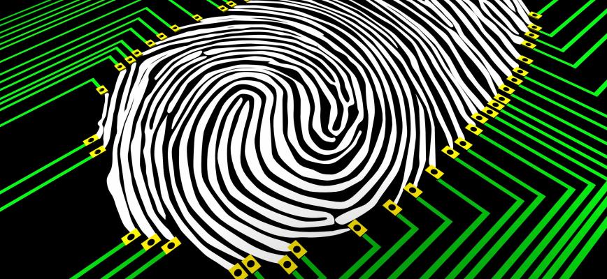 La revolución analítica: el Big Data en la práctica