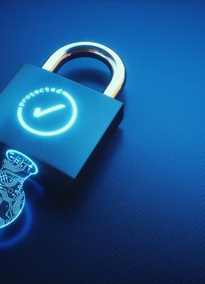 El problema de la ciberseguridad: Si no puedes vencerles únete a ellos