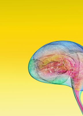 Neurociencia aplicada a la eficacia publicitaria: ¿aliadas perfectas?