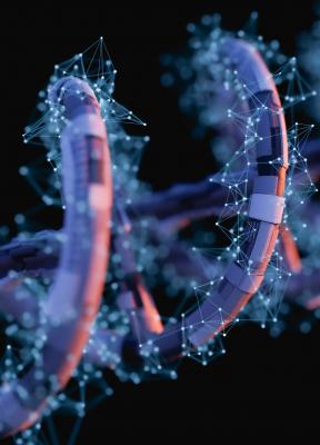 Caso: Broad Institute of MIT and Harvard. Cómo resolver los atascos en el trabajo cognitivo