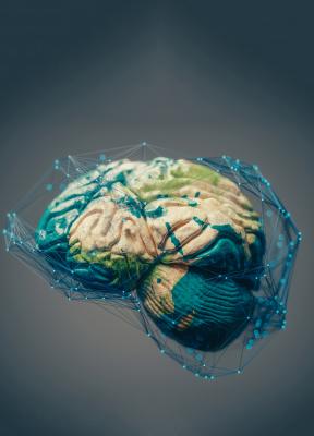 Los ecosistemas empresariales innovadores