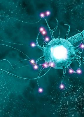 'Quiet Leadership'. La ciencia y la praxis del neuroliderazgo