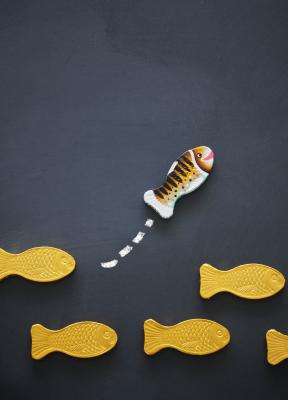 Creación no disruptiva: Repensando el crecimiento y la innovación