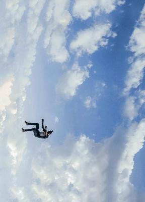 Skills clouds, la carrera por un estándar de las habilidades