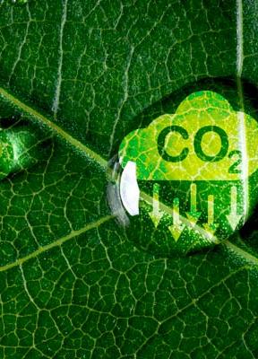 La sostenibilidad no cabe en una etiqueta “eco”