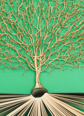 Punto de Vista: Patricia Acedo, People & Culture Director en Northius