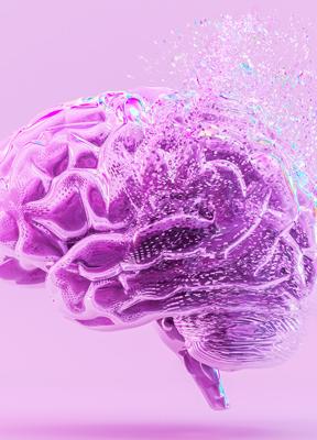 Aprendizajes de la neurociencia para forjar una cultura resiliente