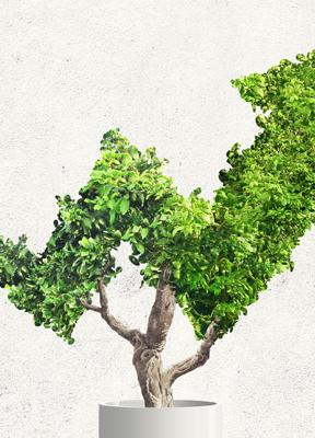 Las bases de un crecimiento sostenible