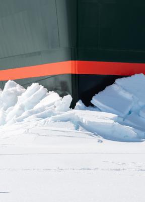 Cuando el talento no basta: lecciones de la épica conquista del Polo Sur