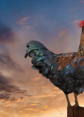 Comunicación consciente: las bases de una reputación sólida