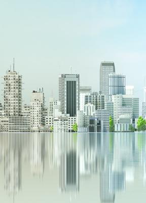 Cuatro competencias esenciales para liderar en la era de la IA