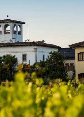 Punto de Vista: Marta Vidal, CEO de Vallformosa