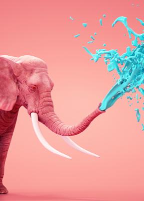 Marketing de la sorpresa: el arte de lo inesperado