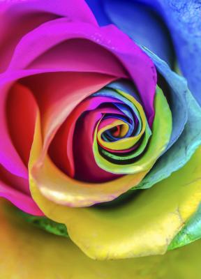 El color y la identidad de marca