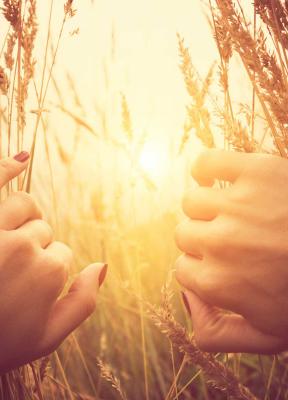 El arte de estar presente - Cómo la práctica de 'mindfulness' puede recuperar el entusiasmo en las organizaciones