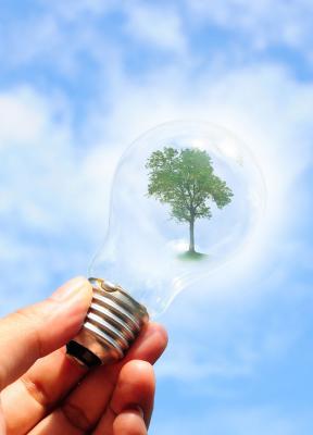 'Greenwashing': ser o no ser verde
