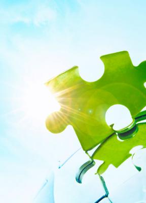 Negocios sostenibles al amparo de la nueva economía circular