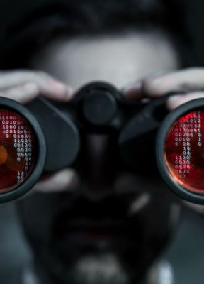 La gestión de la ciberseguridad como estrategia: el peligro de la vulnerabilidad y cómo mitigarla
