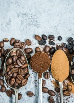 El hijo de bob marley levanta un imperio de café
