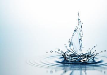 https://www.harvard-deusto.com/sites/default/files/styles/article_normal/public/2018-09/iStock-831463122.jpg?itok=vbYg49Pa&x=1755545530