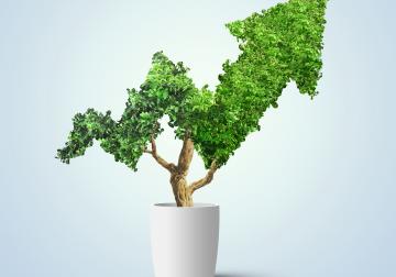 https://www.harvard-deusto.com/sites/default/files/styles/article_normal/public/2019-01/iStock-979167004.jpg?itok=yn3H-kt5&x=1754468406