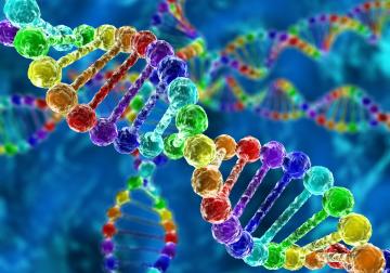 https://www.harvard-deusto.com/sites/default/files/styles/article_normal/public/2019-09/iStock-473718564.jpg?itok=9GZTRn2T&x=1757659907