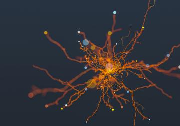 https://www.harvard-deusto.com/sites/default/files/styles/article_normal/public/2019-10/iStock-888421018_0.jpg?itok=MjmUfOcl&x=1790038032