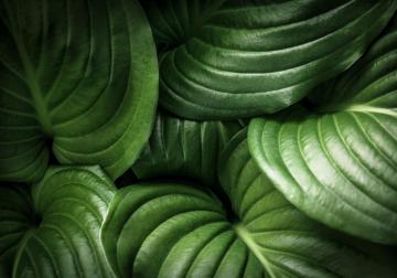 https://www.harvard-deusto.com/sites/default/files/styles/article_normal/public/2020-05/iStock-532350836%20%284%29.jpg?itok=O-AopaUK&x=1790233553