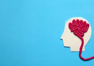 https://www.harvard-deusto.com/sites/default/files/styles/article_normal/public/2020-08/salud-mental-era-digital-nuevas-posibilidades.jpg?itok=i3Scgr7z&x=1790021860