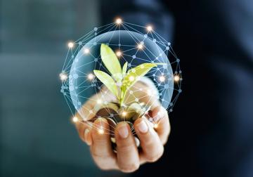 https://www.harvard-deusto.com/sites/default/files/styles/article_normal/public/2021-01/foto-principal-32-33.jpg?itok=fbXs5QHt&x=1746761905
