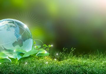 https://www.harvard-deusto.com/sites/default/files/styles/article_normal/public/2021-04/foto-sostenibilidad-empresa.jpg?itok=Vuh16x96&x=1790217626